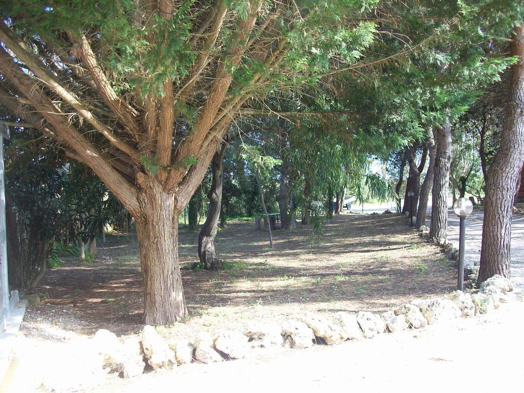 Appartamenti Turistici Aprile Antonio Luigi Borgagne Buitenkant foto